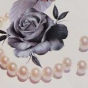 Meet your Posher, Tanner